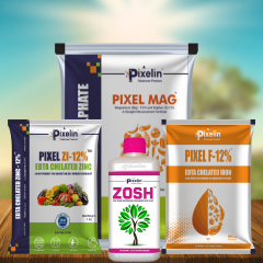 Straight Micro Nutrient Fertilizers