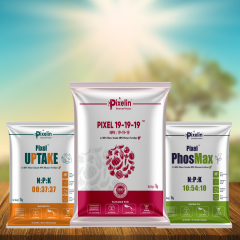 100% Water Soluble NPK Mixture Fertilizers