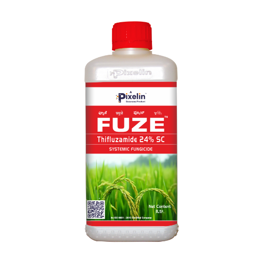Thifluzamide 24% sc Fungicide