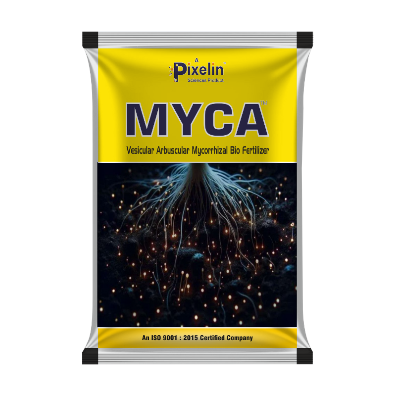 Mycorrhiza bio fertilizer