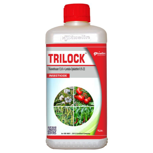 thiamethoxam 12.6% + lambda-cyhalothrin 9.5% zc insecticide