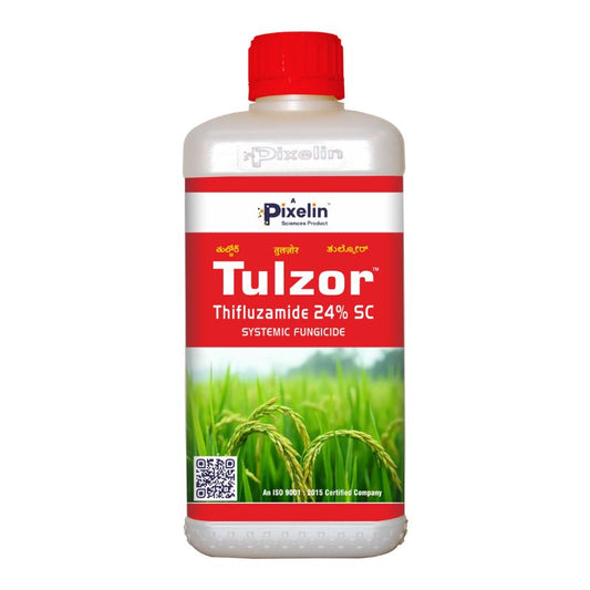 Thifluzamide 24% SC Fungicide