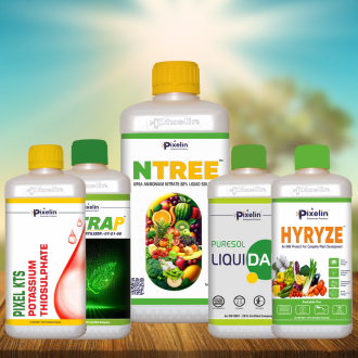 Welcome Combo – Soil Health & Paddy Growth Booster Pack